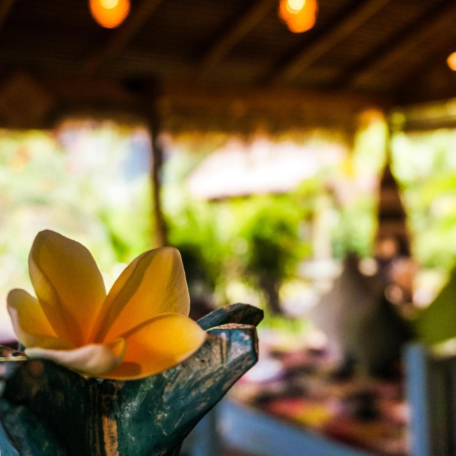 Same Same Bungalows - Eco Friendly Kuta  Экстерьер фото