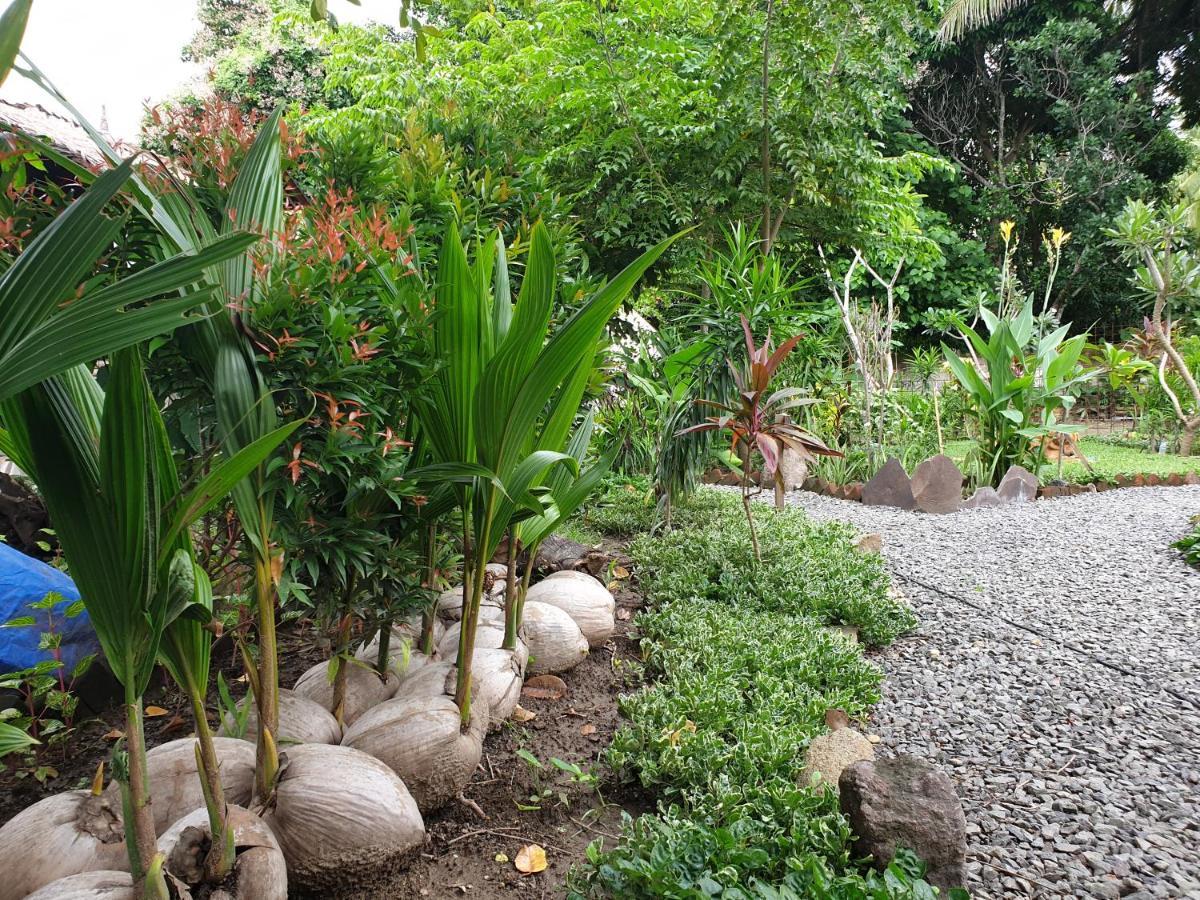 Same Same Bungalows - Eco Friendly Kuta  Экстерьер фото