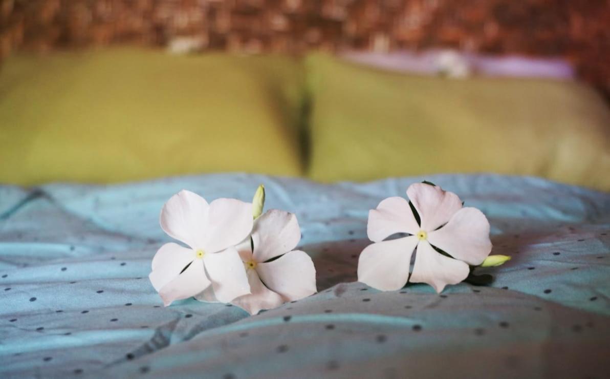 Same Same Bungalows - Eco Friendly Kuta  Номер фото